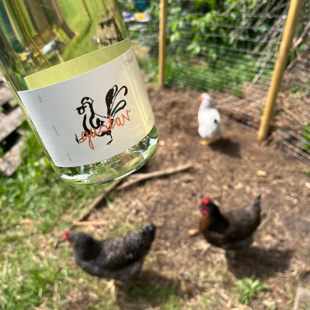 ©Lisa Nuss Die erste Lese, Flasche im Vordergrund in Hintergrund ein Hühnerstall; Wein von Laura Oehms